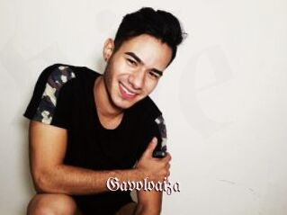 Gavoloaiza