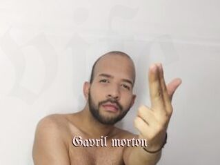 Gavril_morton