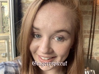 Gingerxspiceuk