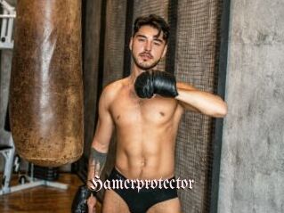 Hamerprotector