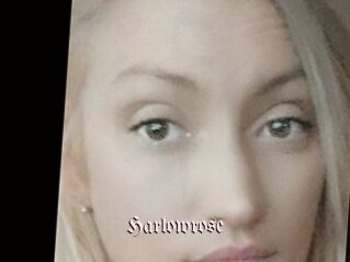 Harlowrose