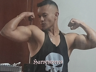 harveytorres Vidéos Fellations