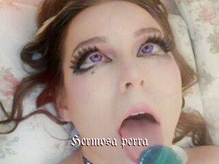 Hermosa_perra