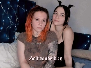 Hollisandsibley