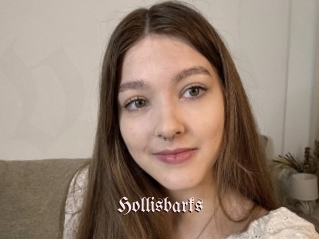 Hollisbarks