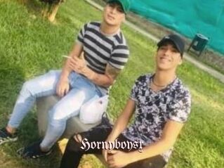 Hornyboysx