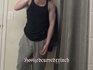 hosizedcurvedxxinch Vidéos Fellations