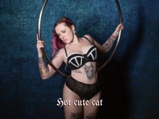 Hot_cute_cat