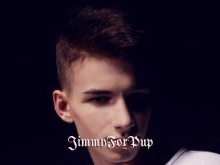 JimmyFoxPup