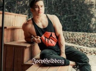 JoeyGoldberg