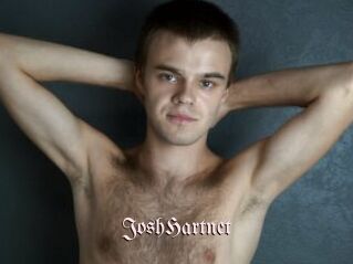 JoshHartnet