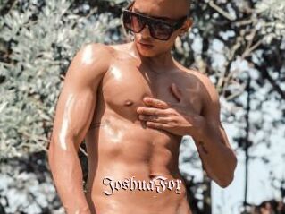 JoshuaFox