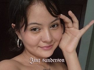 Jinx_sanderson