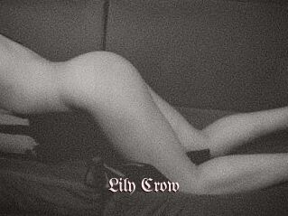 Lily_Crow