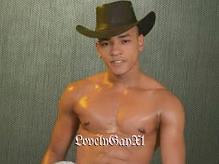 LovelyGayX1