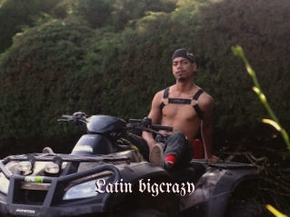 Latin_bigcrazy