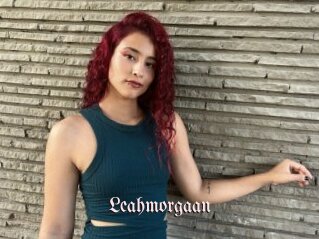 Leahmorgaan