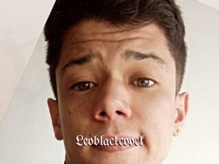 Leoblackcoock
