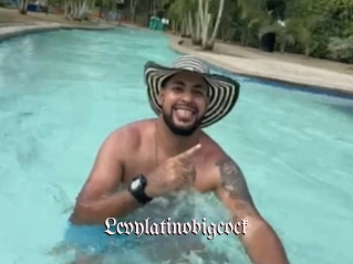 Levylatinobigcock