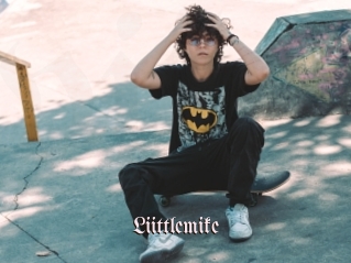 Liittlemike