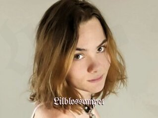 Lilblossompet