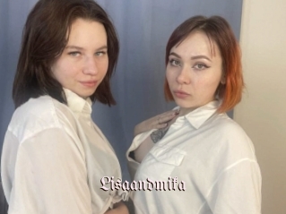 Lisaandmika