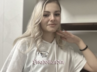 Lisahollandin
