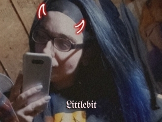 Littlebit