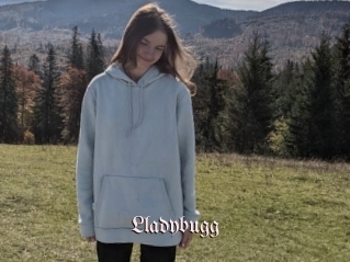 Lladybugg