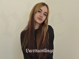 Lucettacollinge