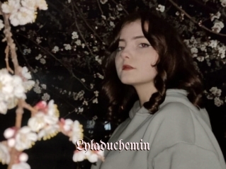 Lyladuchemin