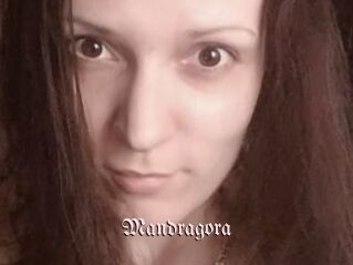 Mandragora Vidéos Fellations