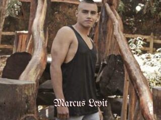 Marcus_Levit