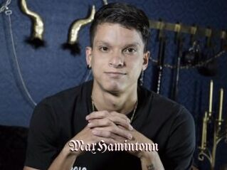 MaxHamintonn