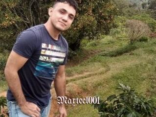 Maxteel001