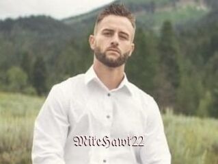 MikeHawk22