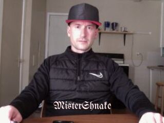 MisterShnake