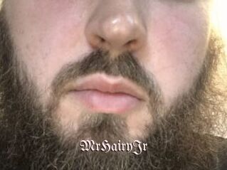 MrHairyJr