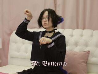 Mr_Buttercup