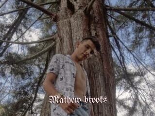 Mathew_brooks