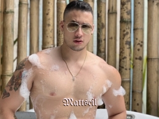 Mattseil