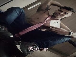 Maxi_mux