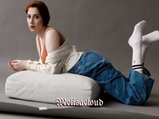Melisacloud
