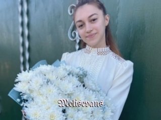 Melisevans