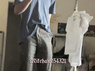 Mikehawk54321