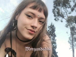 Morgandahlia