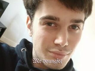 Mr_youngfox