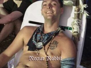 Nectar_Rabbit