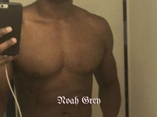 Noah_Grey