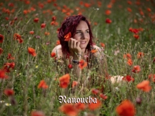 Nanoucha